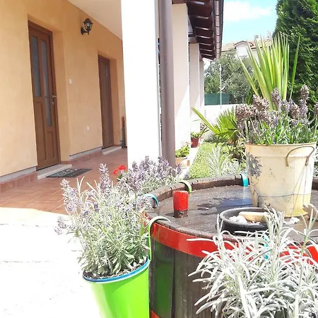 Lejlighed Vacation Licinius Ližnjan